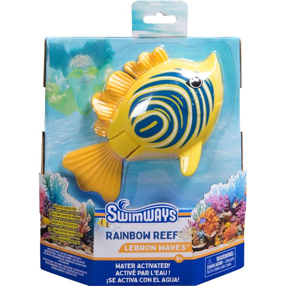 Rainbow Reef Fish - Zebra Fish