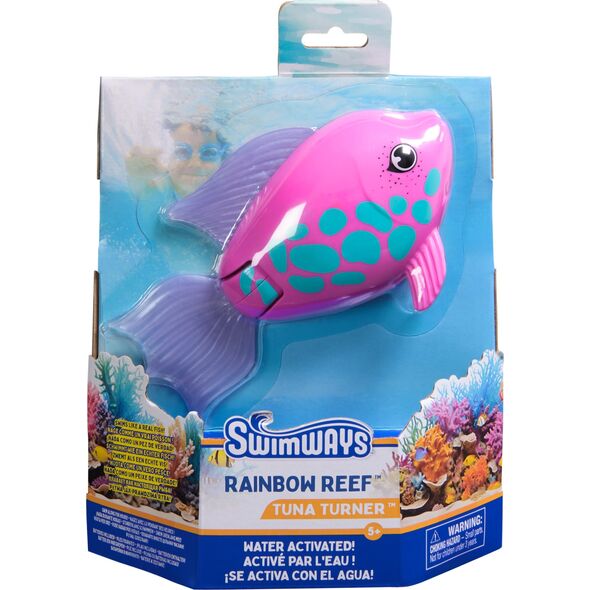 Rainbow Reef Fish - Rainbow Fish