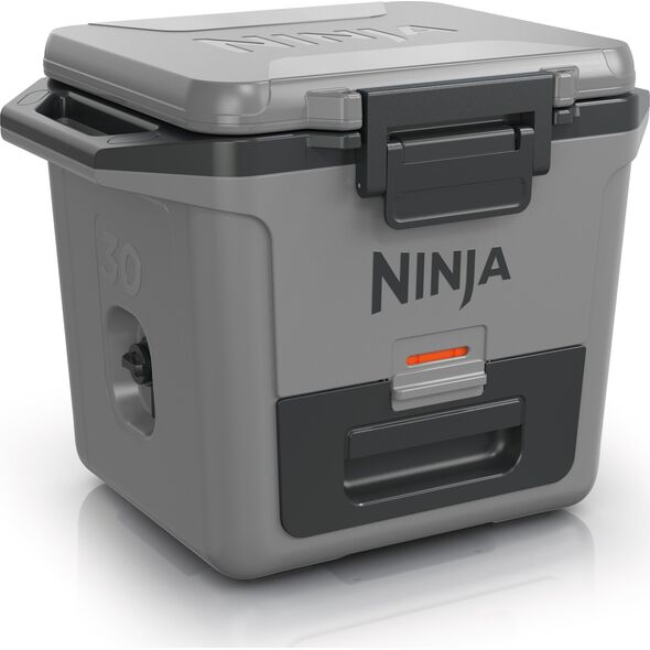Ninja Ninja FrostVault 28 L FB131EUGY 13812446 622356289535