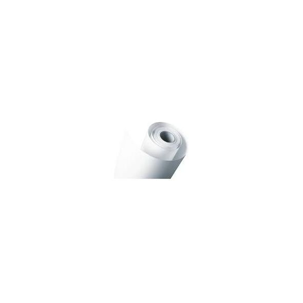 Epson  (C13S042079)