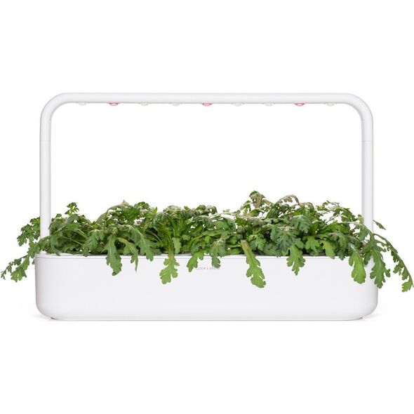Click And Grow Click & Grow Smart Garden αναπλήρωση Shungiku 3 τεμ 13927266 4742793002293