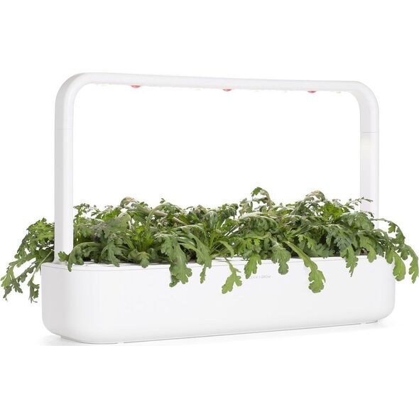 Click And Grow Click & Grow Smart Garden αναπλήρωση Shungiku 3 τεμ 13927266 4742793002293