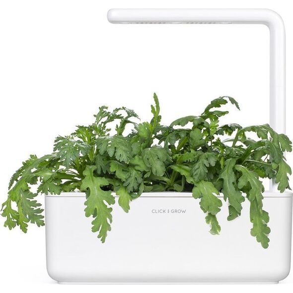 Click And Grow Click & Grow Smart Garden αναπλήρωση Shungiku 3 τεμ 13927266 4742793002293