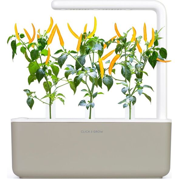 Click And Grow Click & Grow Smart Garden refill Yellow Chili 3 τεμ 13927314 4742793009186