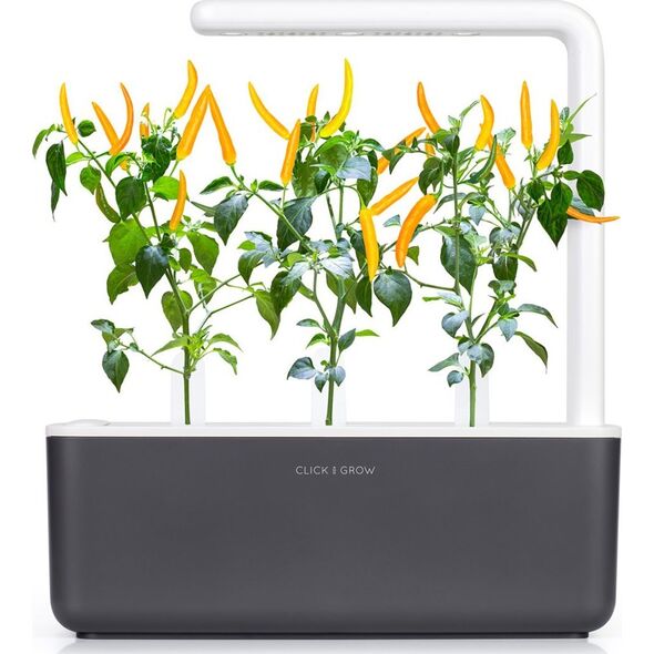 Click And Grow Click & Grow Smart Garden refill Yellow Chili 3 τεμ 13927314 4742793009186