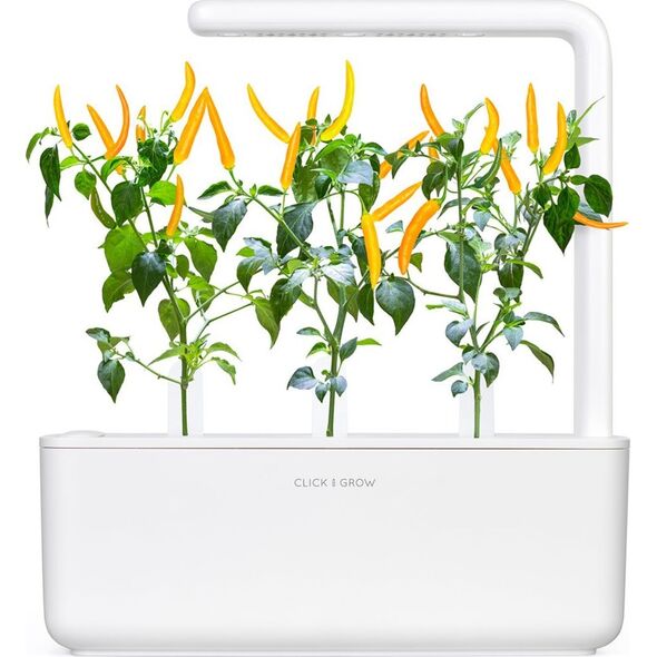 Click And Grow Click & Grow Smart Garden refill Yellow Chili 3 τεμ 13927314 4742793009186