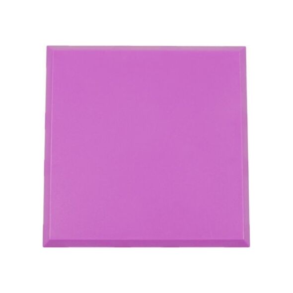 Allnet ALLNET BrickRknowledge Kunststoffschale 2x2 violett oben und unten 10er Pack 13692140 4038816046628