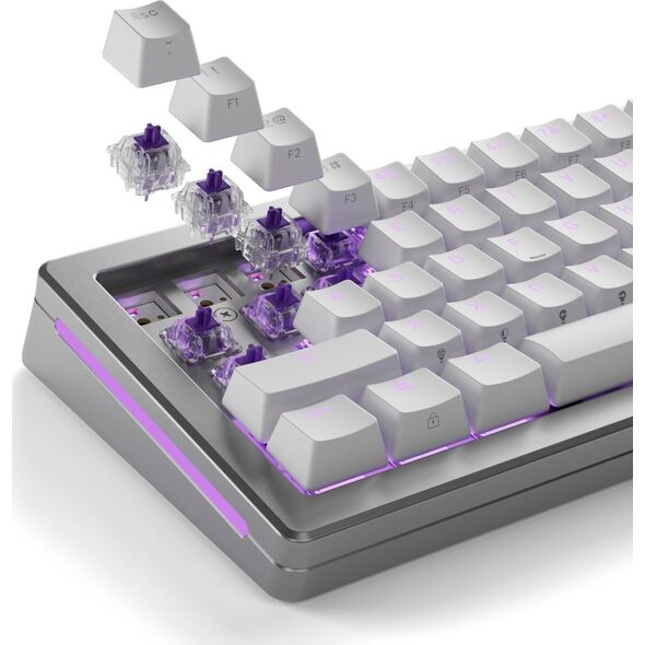 Glorious Glorious Mako Standard Switches, mechanisch, 5-Pin, taktil, MX-Stem, 45g - lubed, 110 Stück