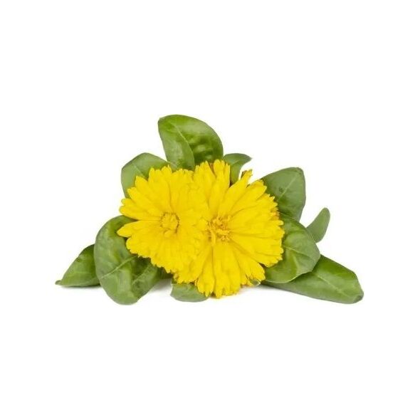 Click And Grow Click & Grow Smart Refill Marigold 3 τεμ 13927287 4742793003160