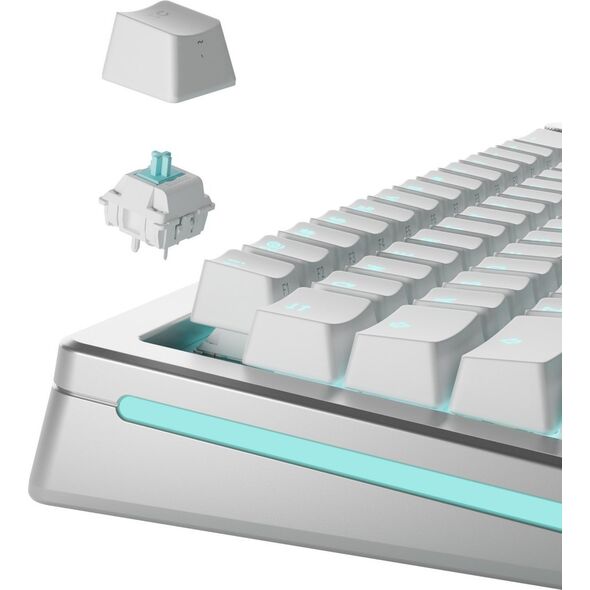 Glorious Glorious Lynx Standard Switches, mechanisch, 5-Pin, linear, MX-Stem, 40g - lubed, 36 Stück