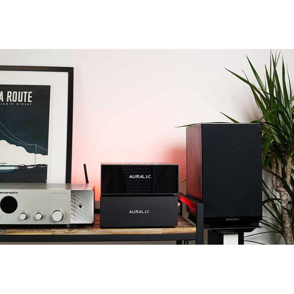Auralic AURALIC VEGA S1 - Streaming DAC 14138615 4251190800420