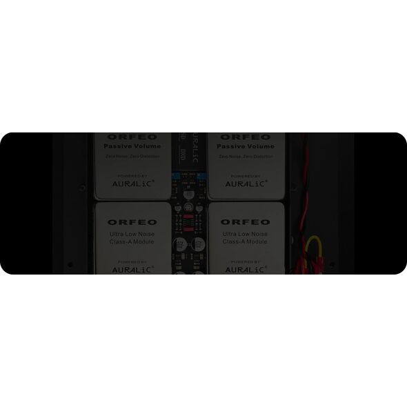 Auralic AURALIC VEGA S1 - Streaming DAC 14138615 4251190800420