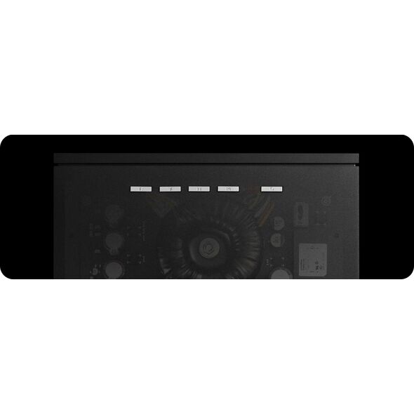 Auralic AURALIC VEGA S1 - Streaming DAC 14138615 4251190800420