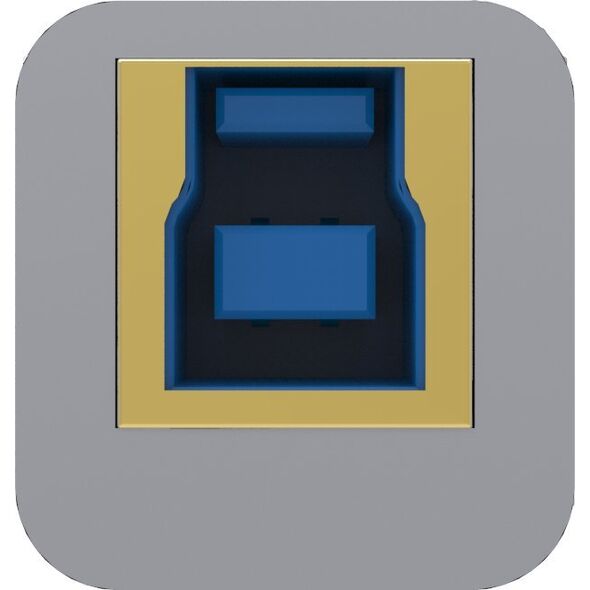 iFi Audio iFi Audio iPurifier2 USB τύπου B 14138619 5081313801527