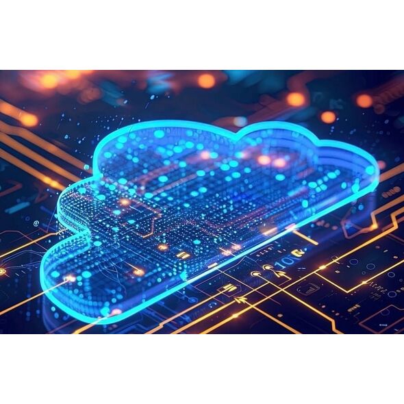 Microsoft Windows Server 2025 CAL PL OEM  (EP2-25268)