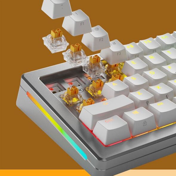 Glorious Glorious Panda HE Standard Switches, Hall-Effekt, taktil, MX-Stem, 45g - lubed, 36 Stück