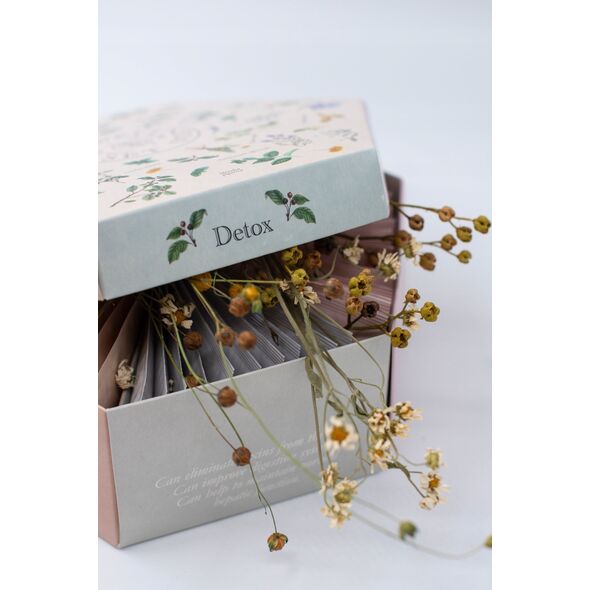 Tea set ACORUS Wellness, 60 pcs.
