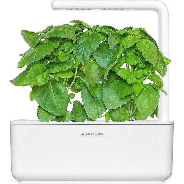 Click And Grow Click & Grow Smart Garden αναπλήρωση Βασιλικού Μασσαλίας 3 τεμ 13927294 4742793003986