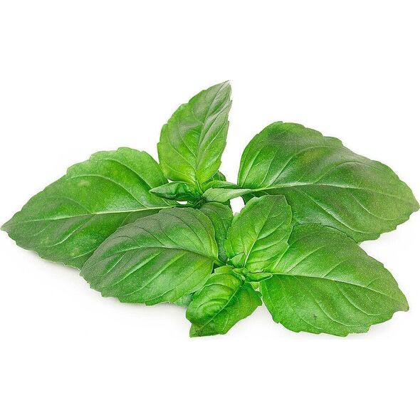 Click And Grow Click & Grow Smart Garden αναπλήρωση Βασιλικού Μασσαλίας 3 τεμ 13927294 4742793003986