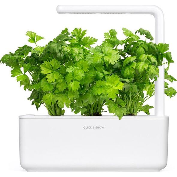 Click And Grow Click & Grow Smart Garden Refill Leaf Celery 3 τεμ 13927284 4742793003948