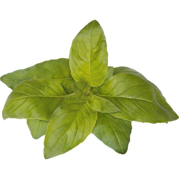 Click And Grow Click & Grow Smart Garden refill Lime Basil 3 τεμ 13927296 4742793004006