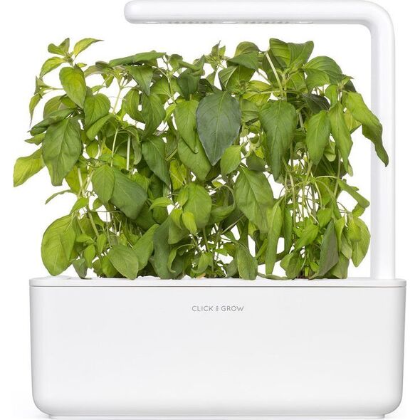 Click And Grow Click & Grow Smart Garden refill Lime Basil 3 τεμ 13927296 4742793004006