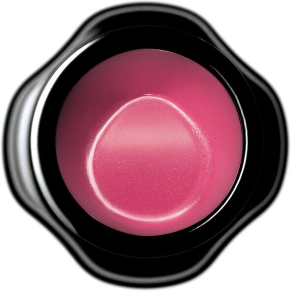 Shiseido SHISEIDO_Perfect Rouge pomadka do ust RS745 4g