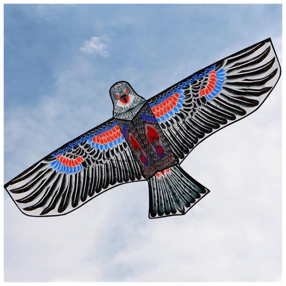 Aptel LATAWIEC w Kształcie Orła DUŻY 160 cm mix kolorów AG667B