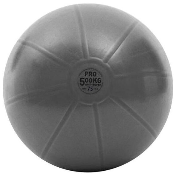 Toorx Gimnast. kamuolys 75cm TOORX PRO AHF-149 13422410 8029975994383