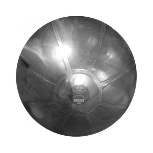 Toorx Gimnast. kamuolys 75cm TOORX PRO AHF-149 13422410 8029975994383