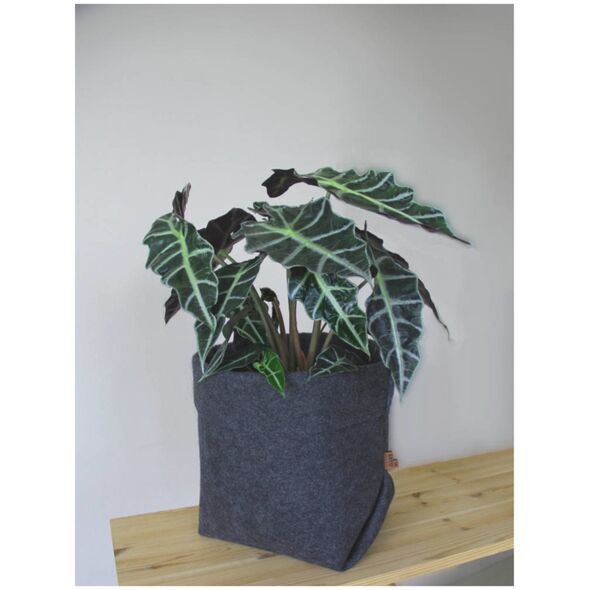 Bertoni BERTONI EE Osłonka na doniczkę Simple XXL - 30 cm