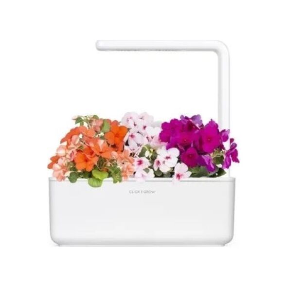Click And Grow Click & Grow Smart Garden ανταλλακτικό Busy Lizzie 3 τεμ 13927300 4742793007274
