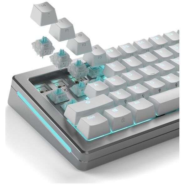 Glorious Glorious Lynx Silent Switches, mechanisch, 5-Pin, linear, MX-Stem, 40g - lubed, 36 Stück
