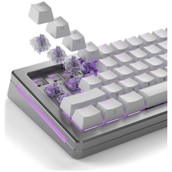 Glorious Glorious Mako Ultralight Switches, mechanisch, 5-Pin, taktil, MX-Stem, 40g - lubed, 110 Stück