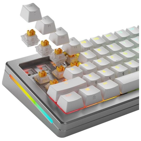 Glorious Glorious Panda HE Silent Switches, Hall-Effekt, taktil, MX-Stem, 45g - lubed, 36 Stck one size