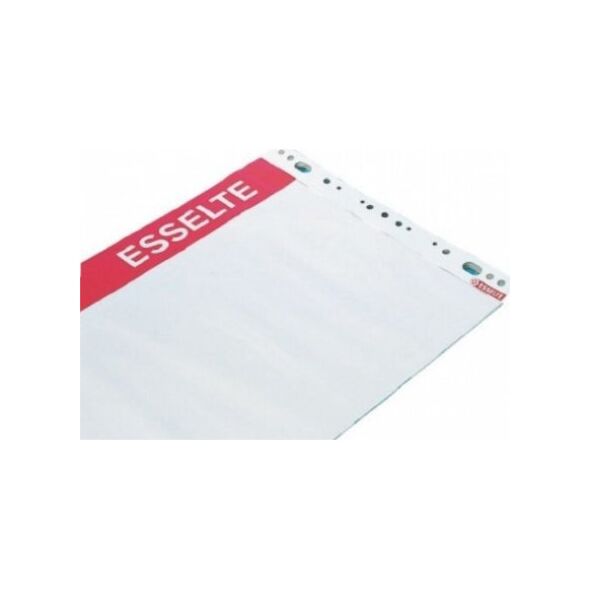 Flipchart Esselte Pad για συνέδρια Esselte, 59x80 cm, 60 g λευκό (50) 0715-008 13989121 7312700322256
