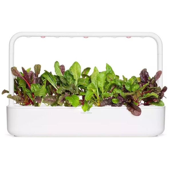 Click And Grow Click & Grow Smart Refill Rainbow Chard 3 τεμ 13927285 4742793003184