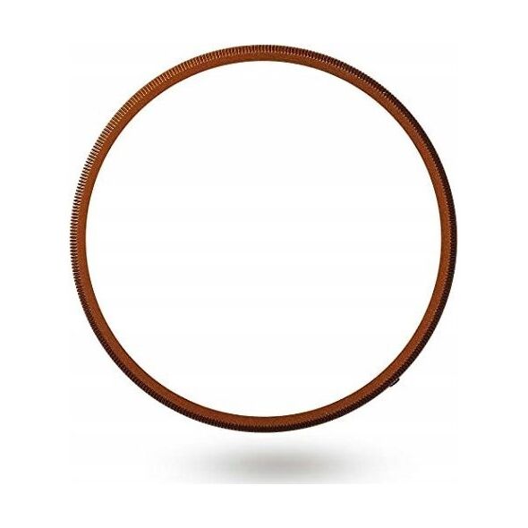 Ricoh GN-2 Ring Cap, bronze