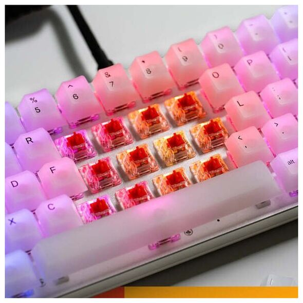 Glorious Glorious Fox Ultralight Switches, mechanisch, 5-Pin, linear, MX-Stem, 30g - lubed, 110 Stück