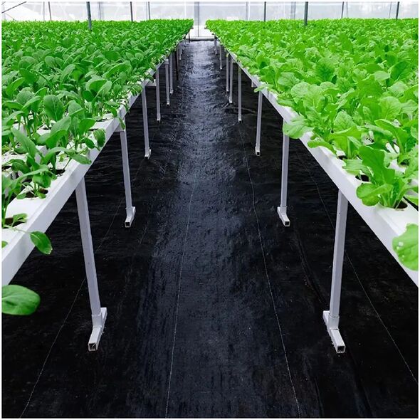 ExtraLink Extralink Agrotextile 80g 1,6x100m μαύρο agrotextile UV mat-371 14208942 5906168639616