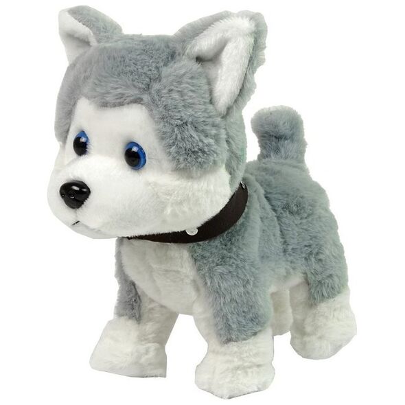 LeanToys Pluszowy Piesek Husky Interaktywny Edukacyjny Smycz Piosenki Chodzi