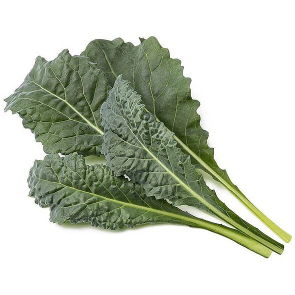 Click And Grow Click & Grow Smart Refill Italian Kale 3 τεμ 13927272 4742793003122