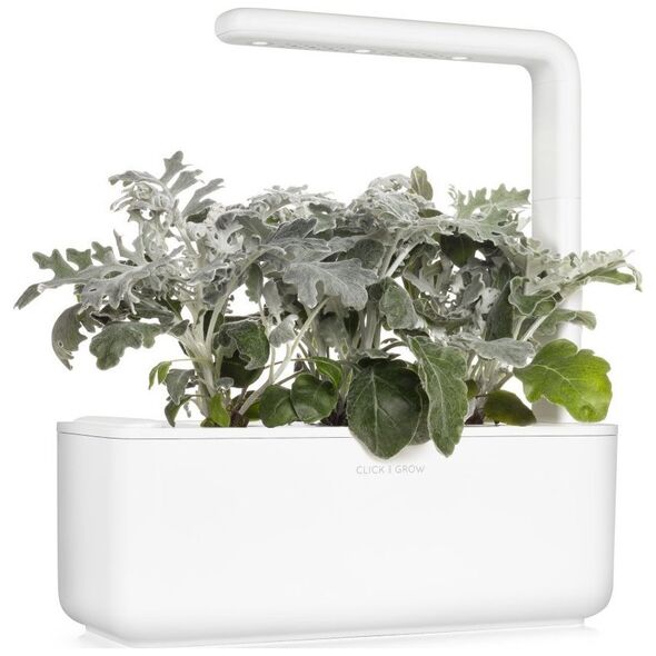 Click And Grow Click & Grow Smart Refill Dusty Miller 3 τεμ 13927281 4742793002774