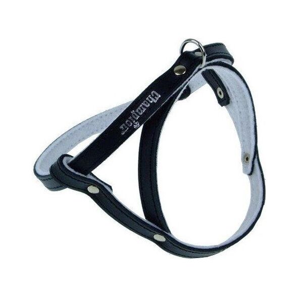 Champion Szelki 50 czarne SD