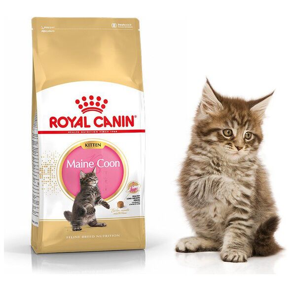 Royal Canin Maine Coon Kitten karma sucha dla kociąt, do 15 miesiąca, rasy maine coon 0.4kg