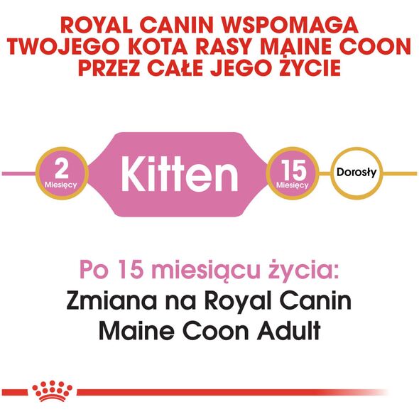 Royal Canin Maine Coon Kitten karma sucha dla kociąt, do 15 miesiąca, rasy maine coon 0.4kg