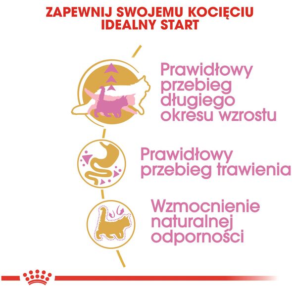 Royal Canin Maine Coon Kitten karma sucha dla kociąt, do 15 miesiąca, rasy maine coon 0.4kg