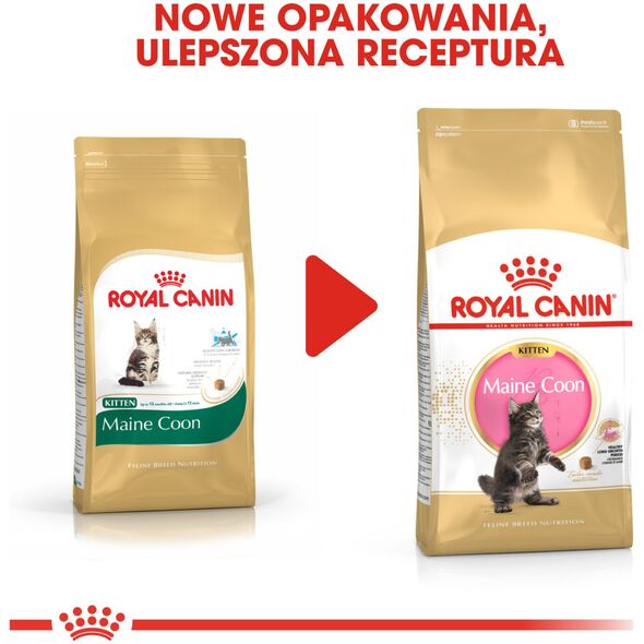 Royal Canin Maine Coon Kitten karma sucha dla kociąt, do 15 miesiąca, rasy maine coon 0.4kg