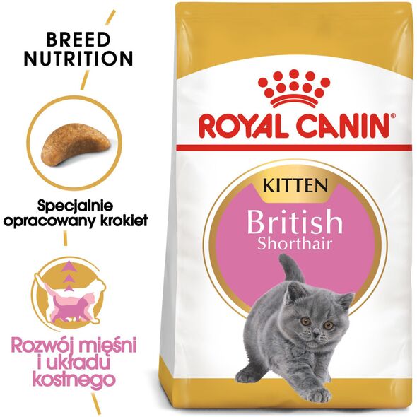 Royal Canin British Shorthair Kitten karma sucha dla kociąt, do 12 miesiąca, rasy brytyjski krótkowłosy 0.4kg