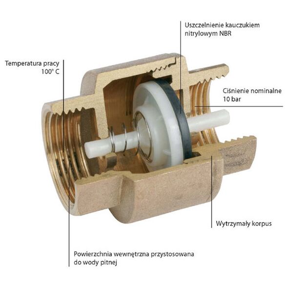 Ferro Zawór zwrotny 6/4" ZZ5